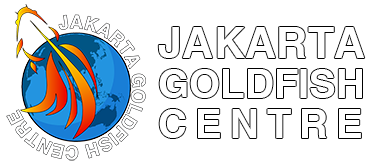 JAKARTA GOLDFISH CENTRE REV outline web rev